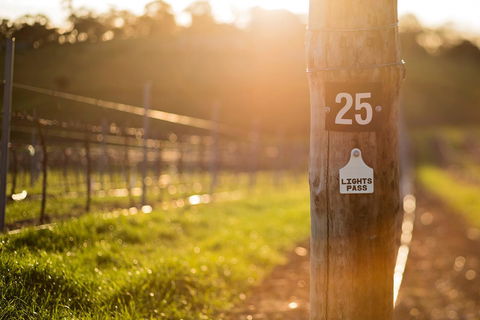 The Louise - Great Ocean Road Tourism 44