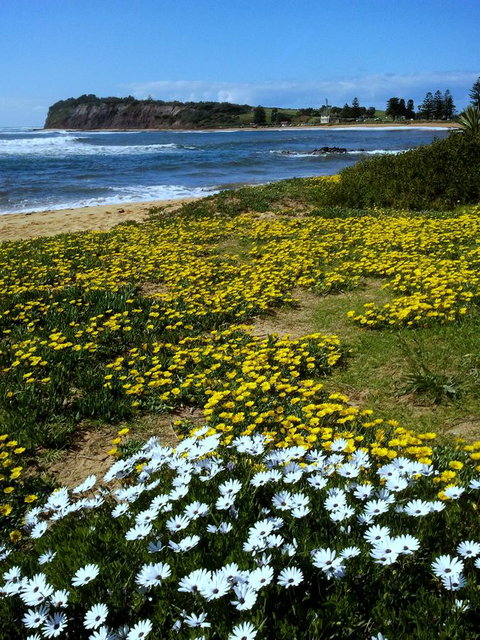 Serenity On Narrabeen Beach - 1Bdr Beachside Retreat - Great Ocean Road Tourism 10
