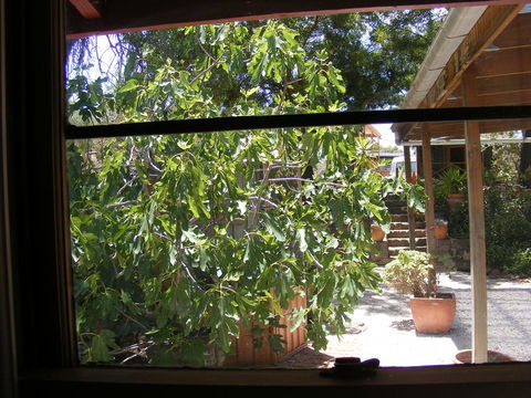 Trevalia Accommodation - Great Ocean Road Tourism 4