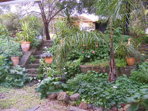 Trevalia Accommodation - Great Ocean Road Tourism 12