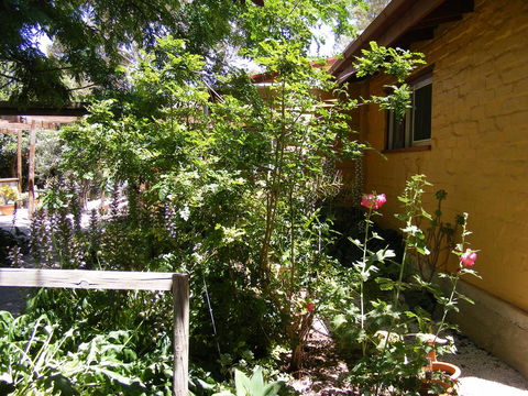 Trevalia Accommodation - Great Ocean Road Tourism 7