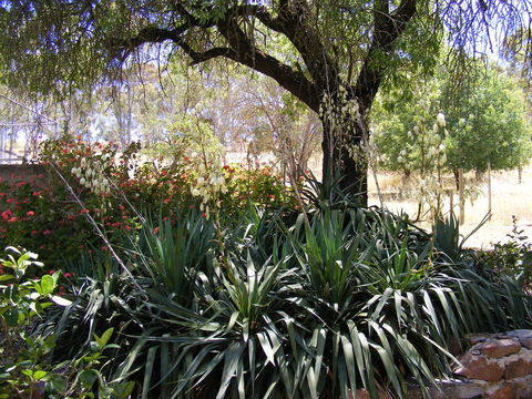 Trevalia Accommodation - Great Ocean Road Tourism 6