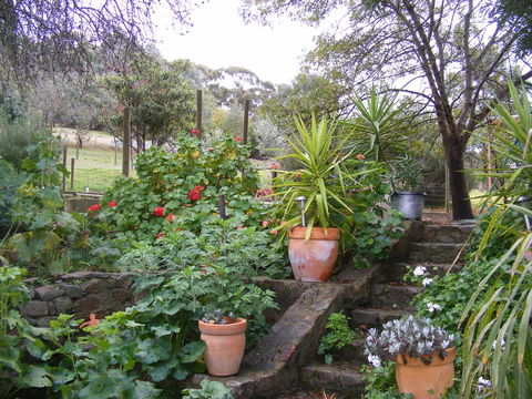 Trevalia Accommodation - Great Ocean Road Tourism 13