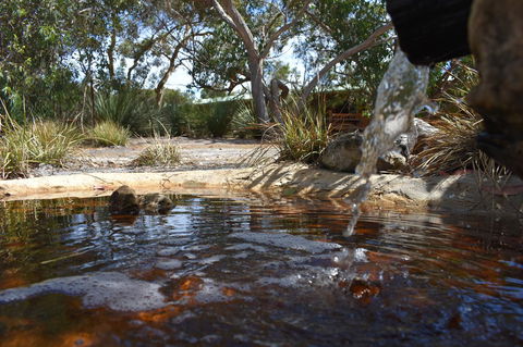 Kangaroo Island Wilderness Retreat - Great Ocean Road Tourism 25