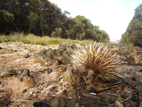 Kangaroo Island Wilderness Retreat - Great Ocean Road Tourism 20