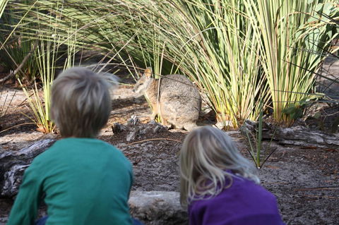 Kangaroo Island Wilderness Retreat - Great Ocean Road Tourism 30