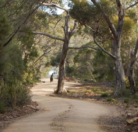 Kangaroo Island Wilderness Retreat - Great Ocean Road Tourism 22