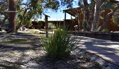 Kangaroo Island Wilderness Retreat - Great Ocean Road Tourism 21