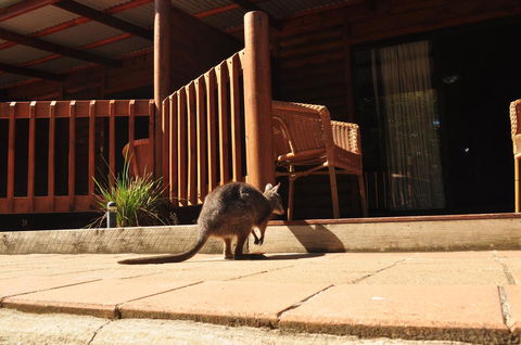 Kangaroo Island Wilderness Retreat - Great Ocean Road Tourism 9