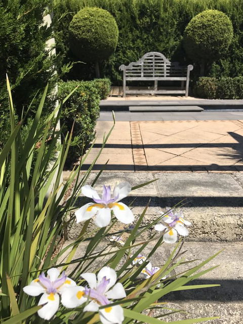 S T U D I O 22 Peaceful Retreat With Garden Views - Great Ocean Road Tourism 13