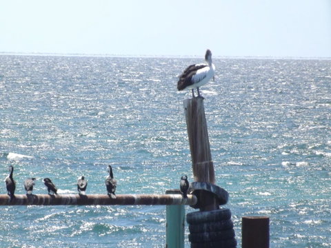 Home On Torrens - Great Ocean Road Tourism 10