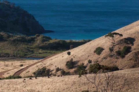 Admirals Inn - Great Ocean Road Tourism 44