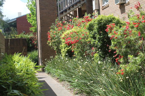 Adelaide DressCircle Apartments - Archer Street - Great Ocean Road Tourism 18