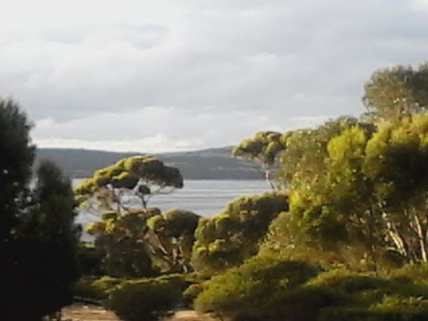 Mallee Bark Retreat - Great Ocean Road Tourism 11