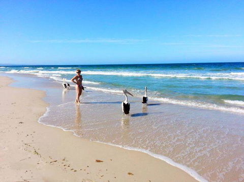 Atlantic West Beach Apartments - Great Ocean Road Tourism 22