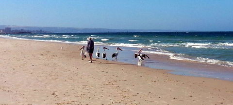 Atlantic West Beach Apartments - Great Ocean Road Tourism 20