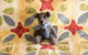 Rezare House Bed & Breakfast - thumb 11