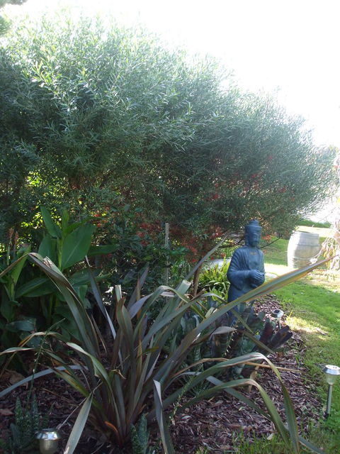 Casuarina Coastal Units - Great Ocean Road Tourism 16