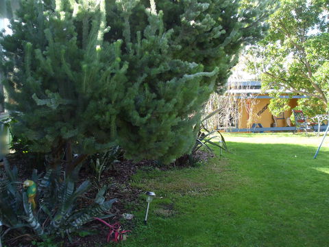 Casuarina Coastal Units - Great Ocean Road Tourism 21