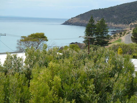 SeaShells Penneshaw - Great Ocean Road Tourism 38
