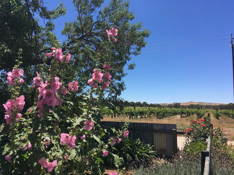 Amy\'s House Bed & Breakfast - Great Ocean Road Tourism 29