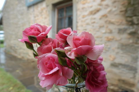 Amy\'s House Bed & Breakfast - Great Ocean Road Tourism 30