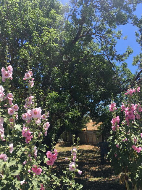 Amy\'s House Bed & Breakfast - Great Ocean Road Tourism 37