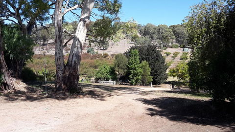 Taralee Orchards - Great Ocean Road Tourism 3