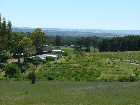 Taralee Orchards - Great Ocean Road Tourism 0