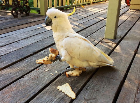 Aldgate Valley Bed And Breakfast - Great Ocean Road Tourism 40