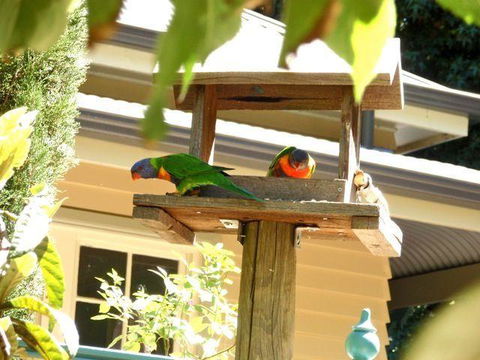 Aldgate Valley Bed And Breakfast - Great Ocean Road Tourism 42