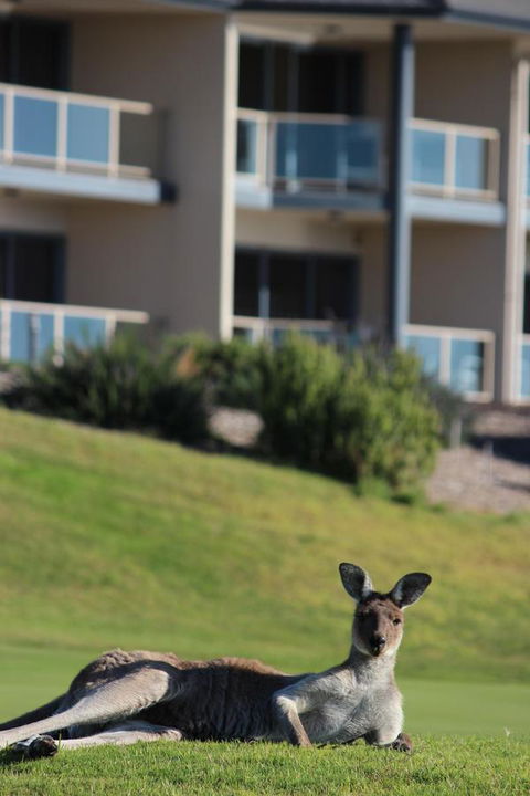 Lady Bay Hotel - Great Ocean Road Tourism 16