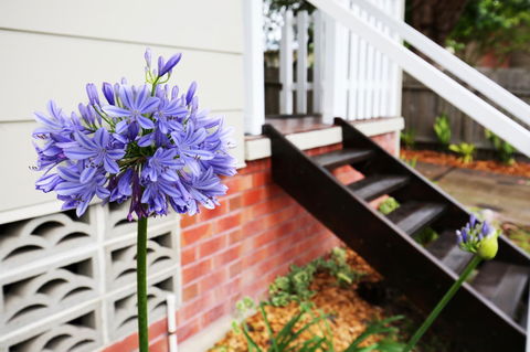 Hudson Bay @ Basin View-Pet Friendly-15 Mins To Hyams Beach - Great Ocean Road Tourism 38