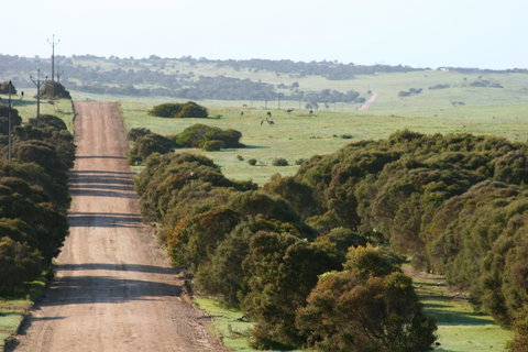 Almonta Park Lodge - Great Ocean Road Tourism 1