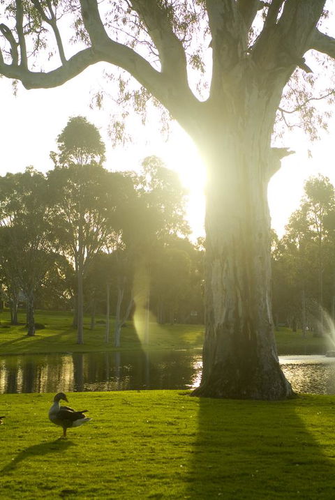 Serafino McLaren Vale - Great Ocean Road Tourism 15