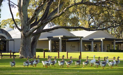 Serafino McLaren Vale - Great Ocean Road Tourism 0