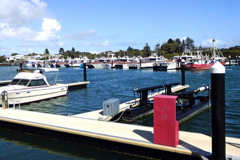 Robetown Motor Inn & Apartments - Great Ocean Road Tourism 9