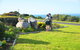 Kangaroo Island Seaside Inn - thumb 11