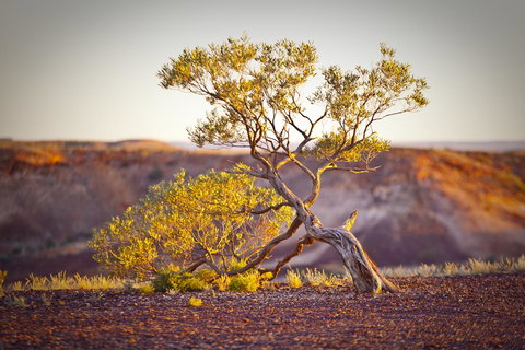 The Lookout Cave Underground Motel - Great Ocean Road Tourism 22