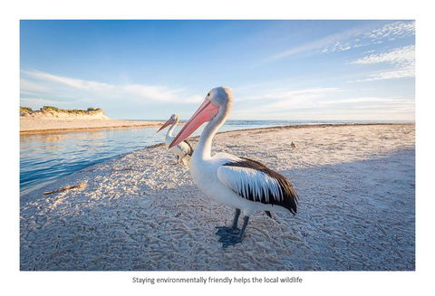 Adelaide Luxury Beach House - Great Ocean Road Tourism 25