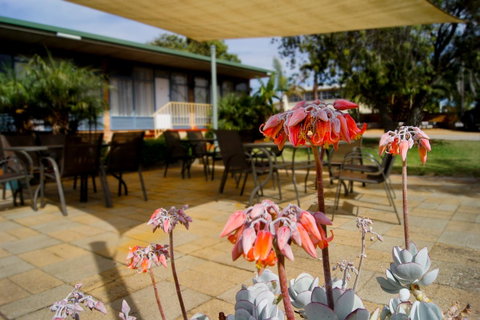 Kangaroo Island Seaview Motel - Great Ocean Road Tourism 3