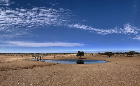 Opal Inn Hotel, Motel, Caravan Park - Great Ocean Road Tourism 10