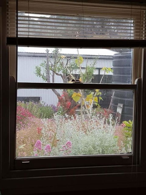 Sinclair Cottage - Great Ocean Road Tourism 24