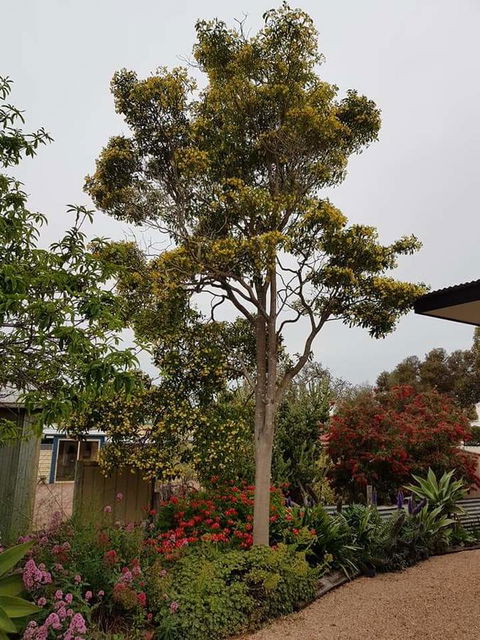 Sinclair Cottage - Great Ocean Road Tourism 25