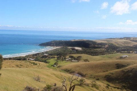 Middle River Beach House - East & West House - Great Ocean Road Tourism 24