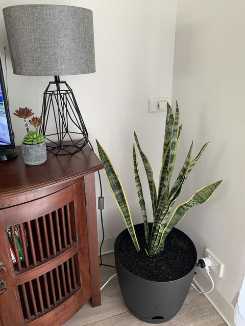 Sunshine Four - Great Ocean Road Tourism 2