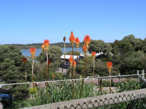 Lakeside Tourist Park - Great Ocean Road Tourism 3