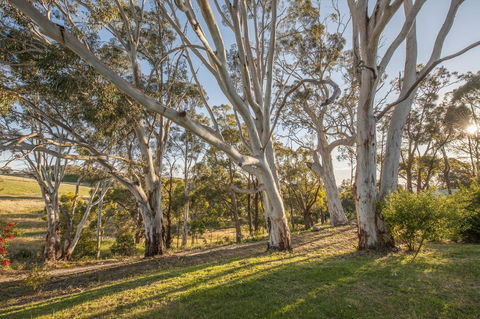 Discovery Parks - Hahndorf - Great Ocean Road Tourism 4