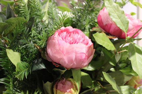 Pirralilla Estate Adelaide Hills - Great Ocean Road Tourism 19