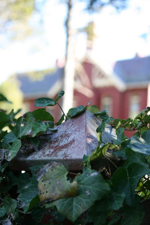 Pirralilla Estate Adelaide Hills - Great Ocean Road Tourism 27